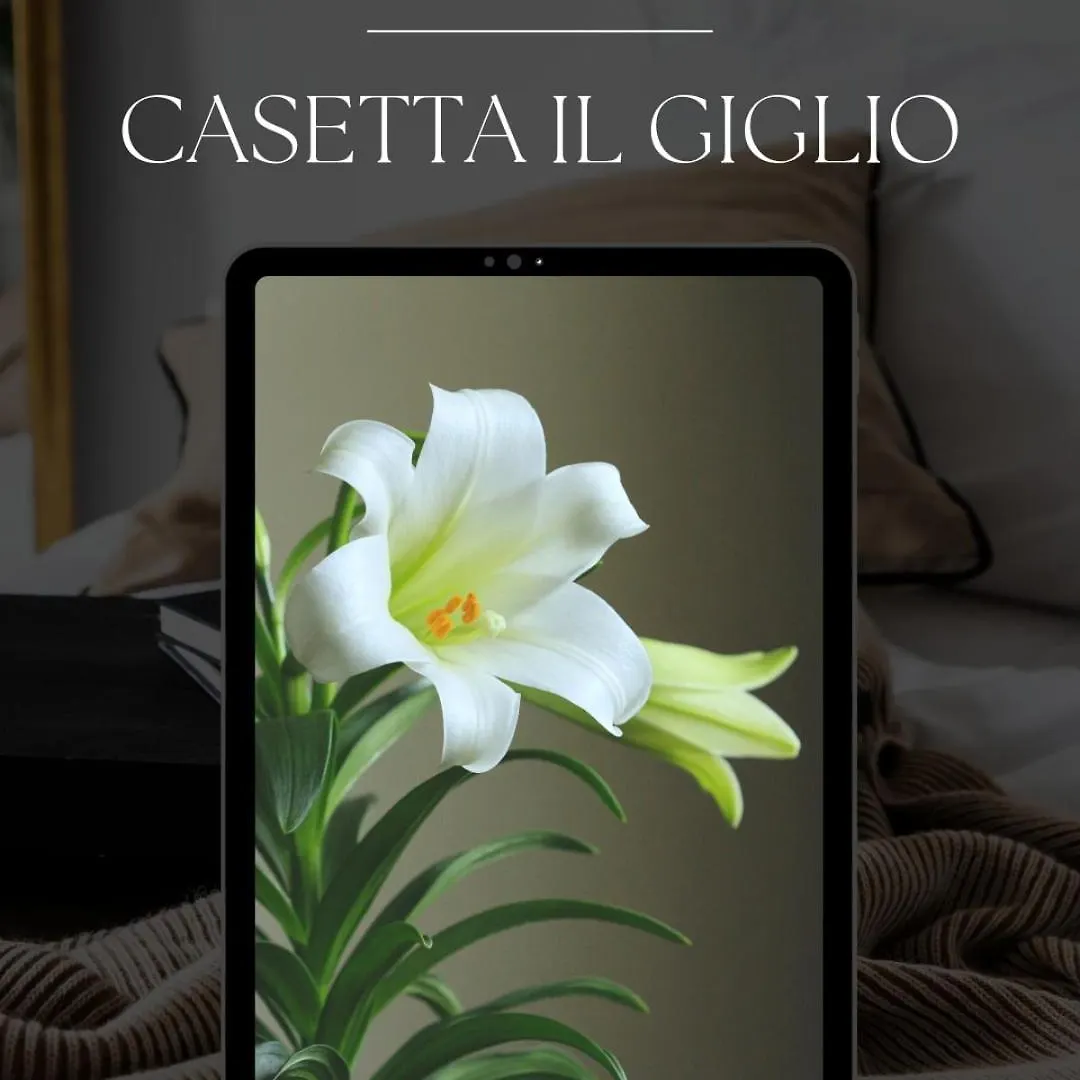 Casetta Il Giglio Montelupo Fiorentino Appartement